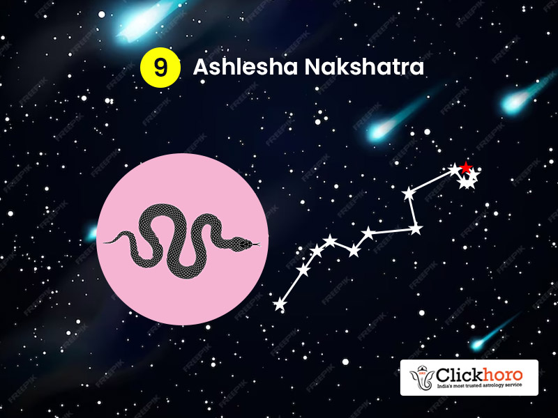 Ashlesha Nakshatra Career, Profession & Business