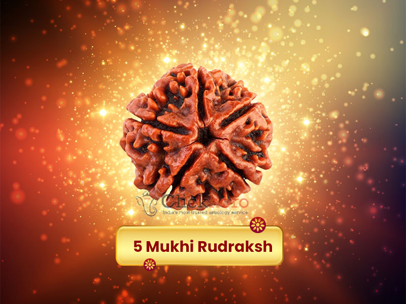 Facts of 5 Mukhi Rudraksh & Benefits