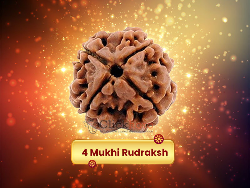 Four Mukhi Rudraksha Powers