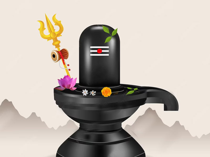 Authentic, Worship Puja Method, Materials for Maha Shivaratri Fast