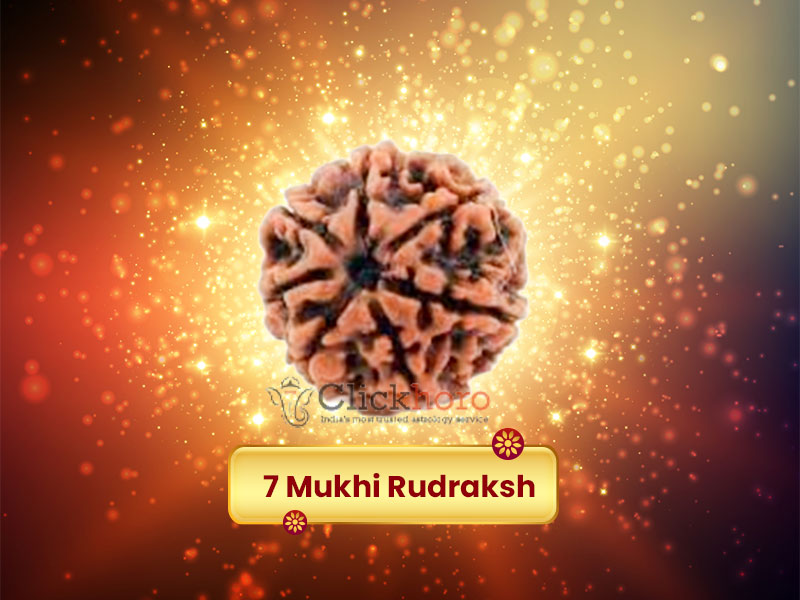 7 Mukhi Rudraksha Significance