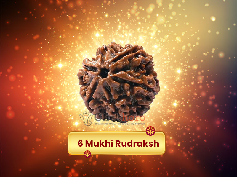Six Mukhi Rudraksha Benefits & Significance