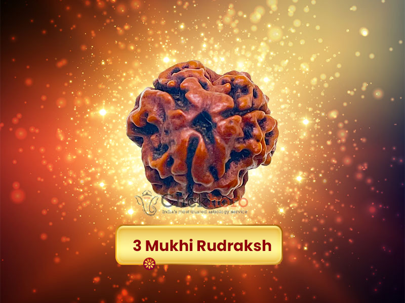 Boost Your Luck With Three Mukhi Rudraksha