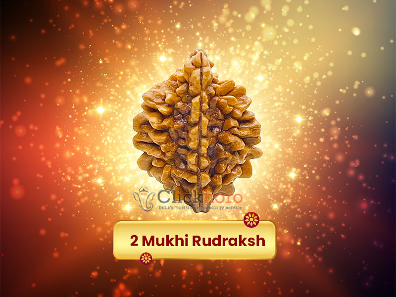 Unlock About Two Mukhi Rudraksh & Significance